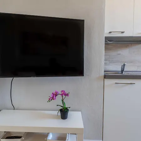 Windrose Venus * Piza