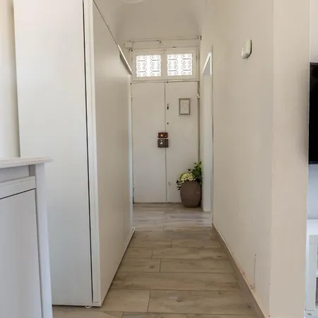 Windrose Venus * Piza