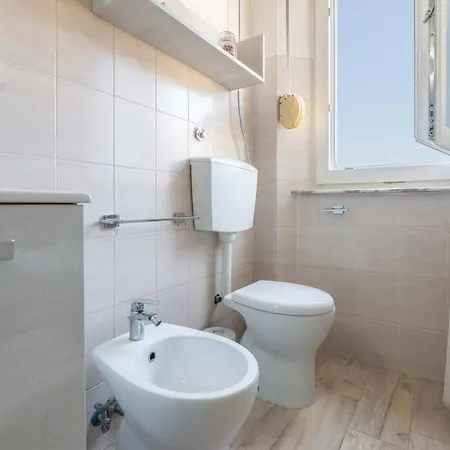 Windrose Venus * Piza